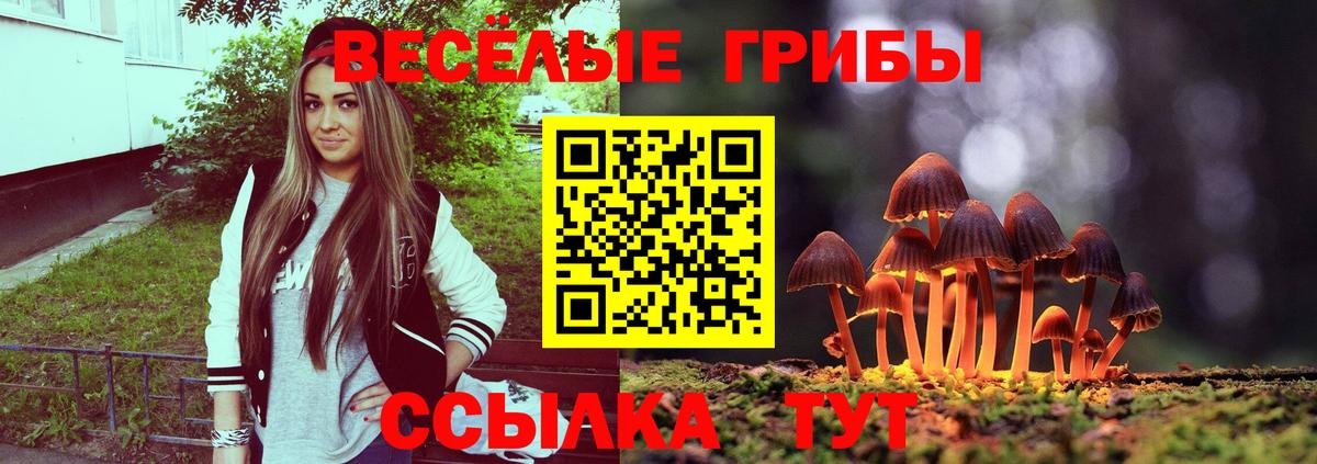 Псилоцибиновые грибы мицелий  Вход с VPN  Архангельск  Псилоцибиновые грибы мухоморы 